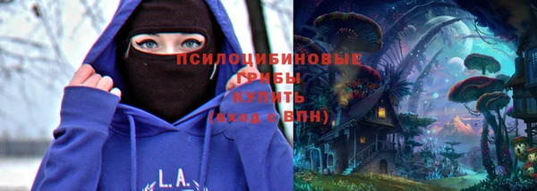 дурь Алзамай